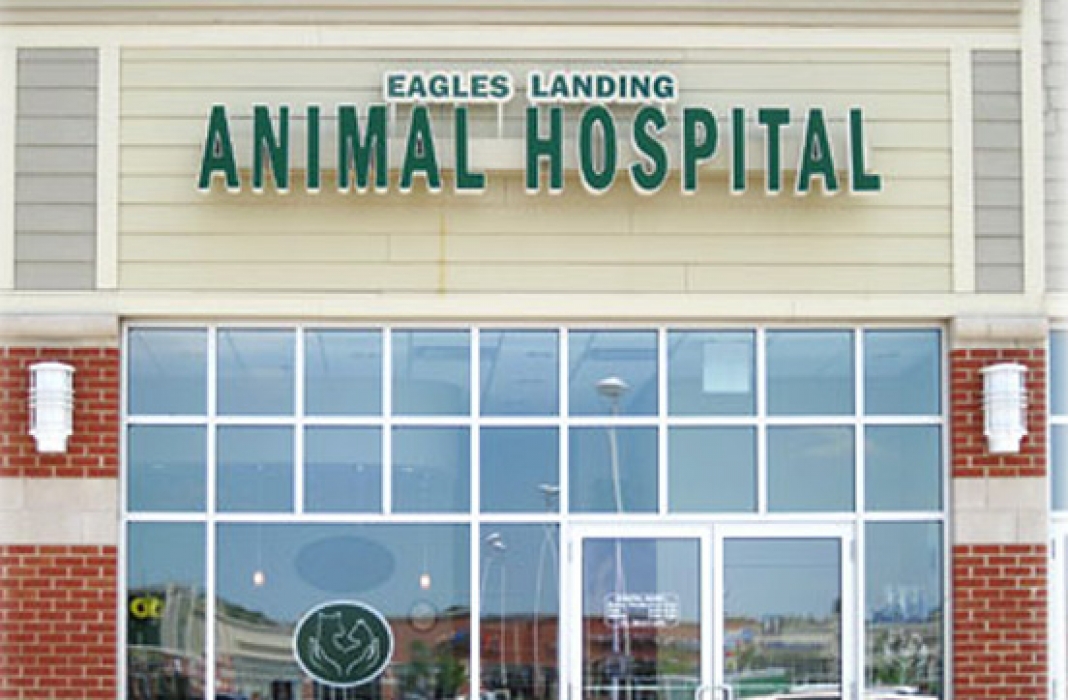 Eagles Landing Animal Hospital Artistree Construction