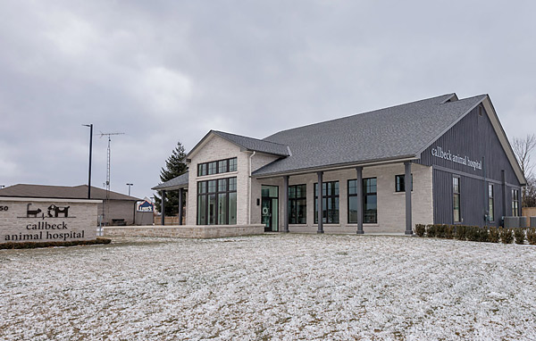 Callbeck Veterinary Hospital - Artistree Construction