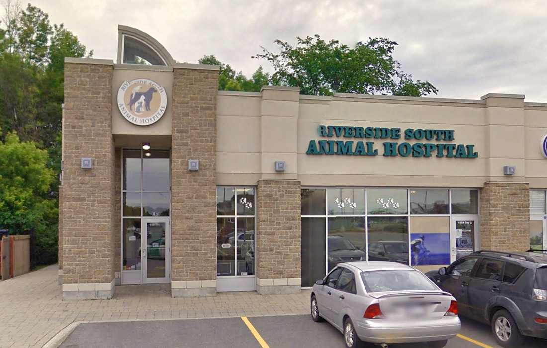 Riverside South Animal Hospital Artistree Construction